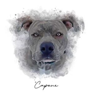 Personalised Watercolor Style Pet Art