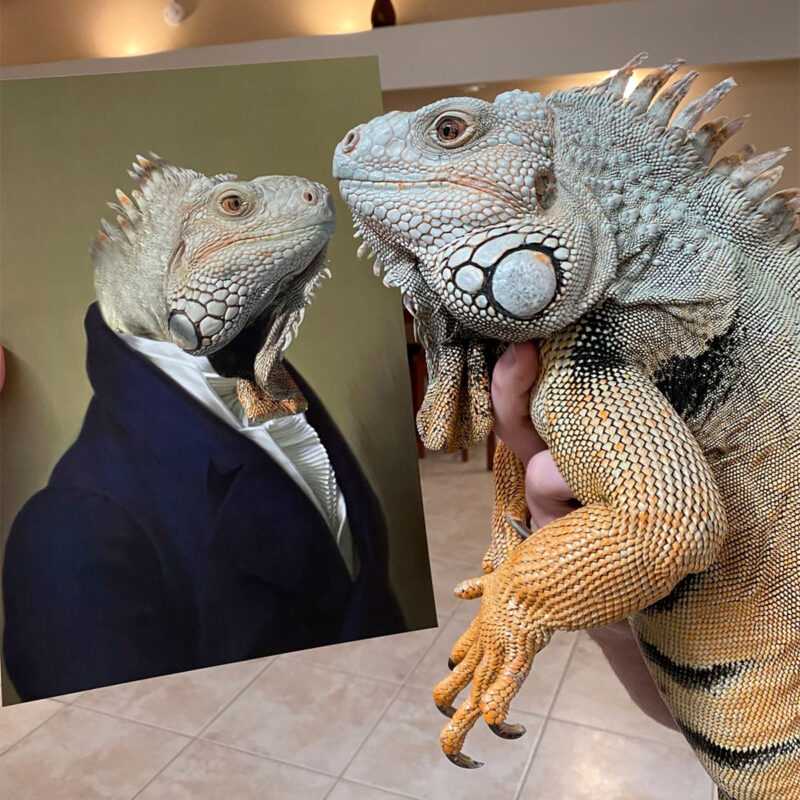 ambassador24_1200x1200