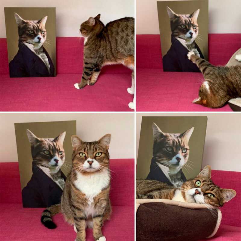 ambassador34_1200x1200