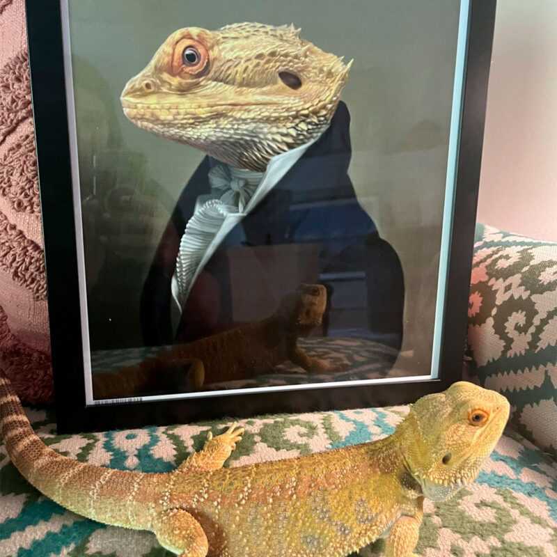 ambassador44_1200x1200