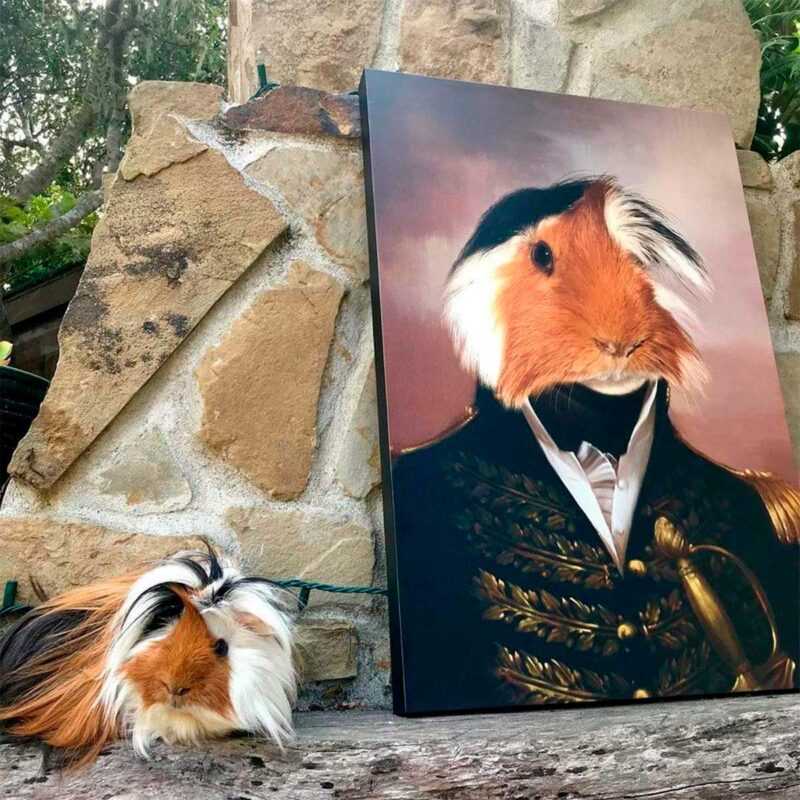 general_pet9_1200x1200