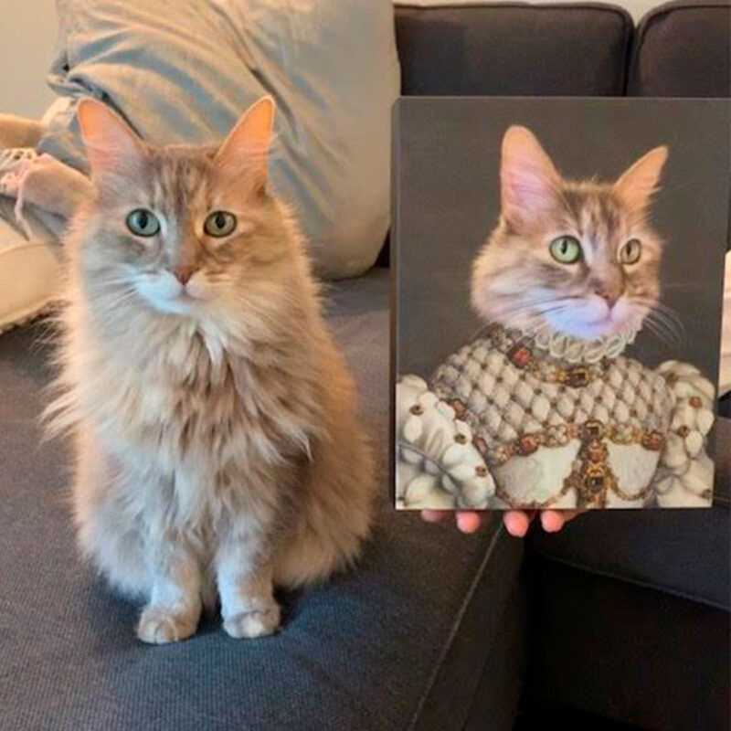 princess17_1200x1200