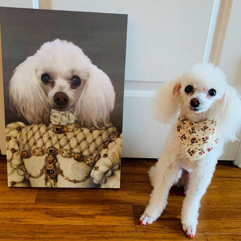 princess39_1200x1200