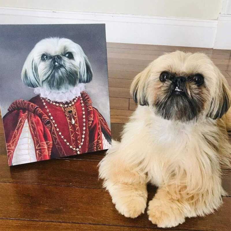 queen-of-roses10_1200x1200